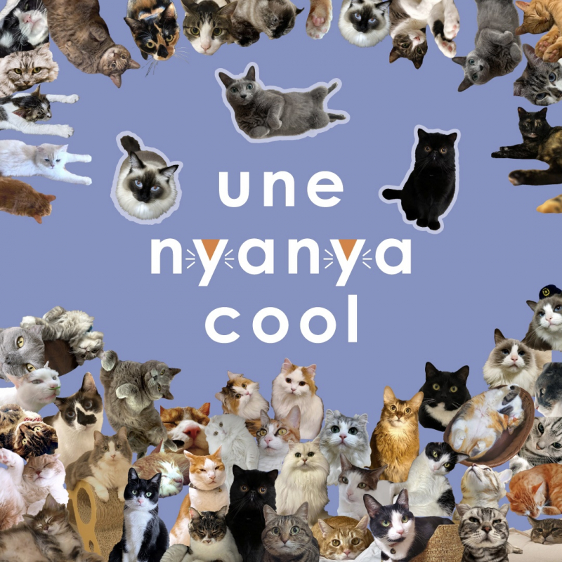 une nyanya cool 2024AW　🐈🐈‍⬛💞