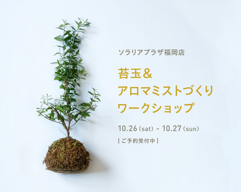 苔玉＆アロマミストづくりワークショップ開催