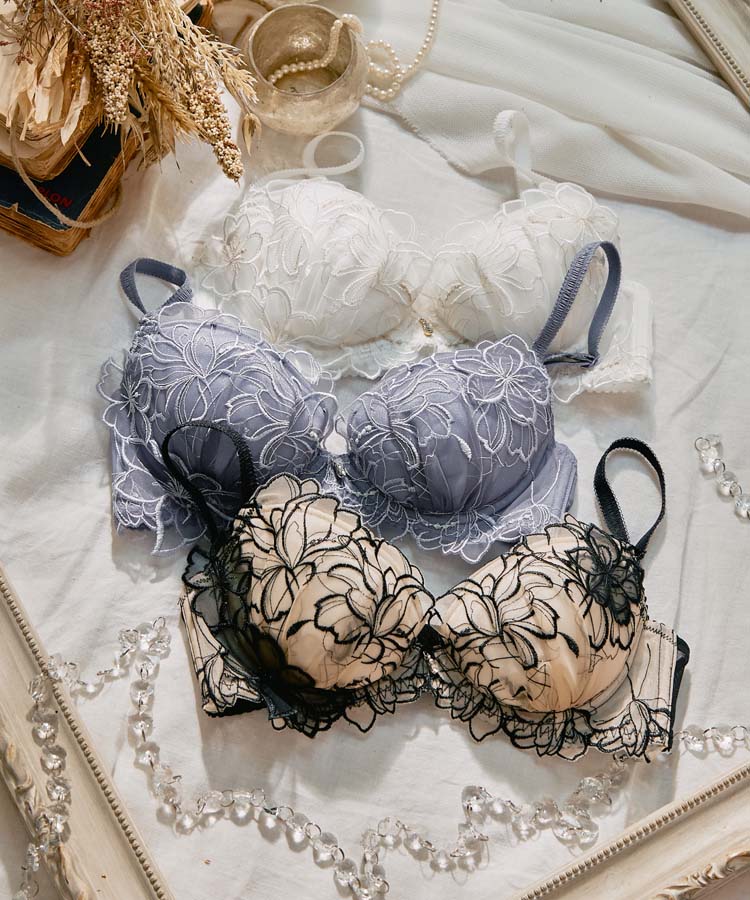 4F【San-ai Resort northerly】エレガントコレクション『2512』入荷いたしました。