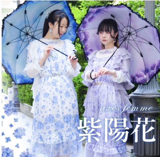 紫陽花アイテム入荷☔✨
