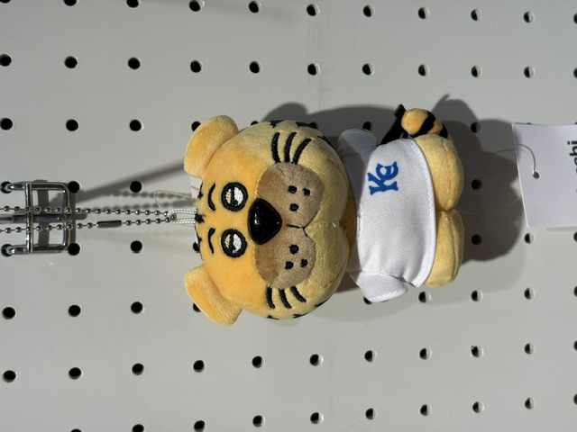 木梨サイクル入荷!